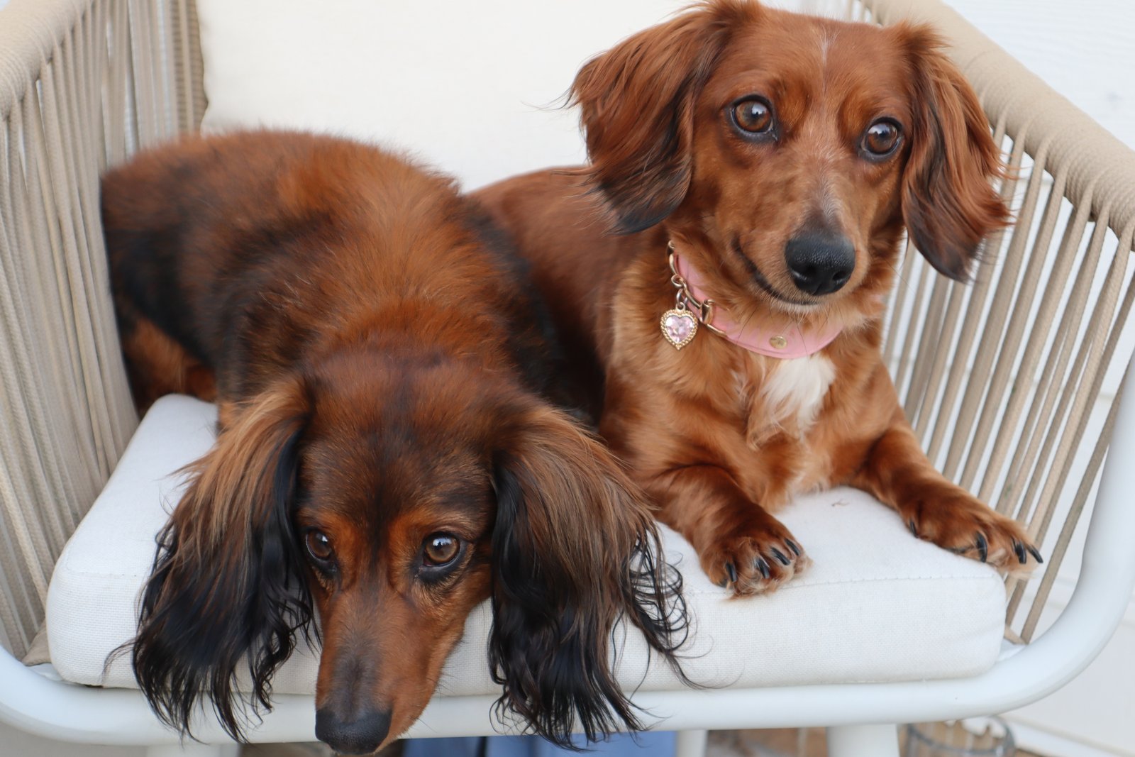 Jasper and July together